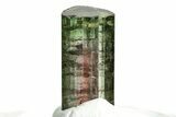 Bicolor Elbaite Tourmaline Crystal - Aricanga Mine, Brazil #206863-1